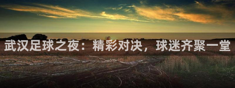 武汉足球之夜：精彩对决，球迷齐聚一堂