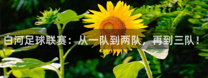  白河足球联赛：从一队到两队，再到三队！