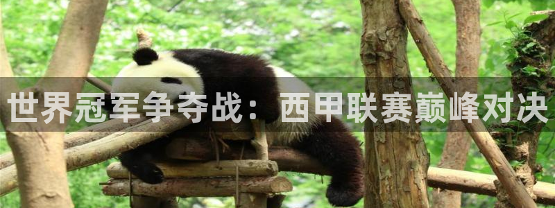 世界冠军争夺战：西甲联赛巅峰对决