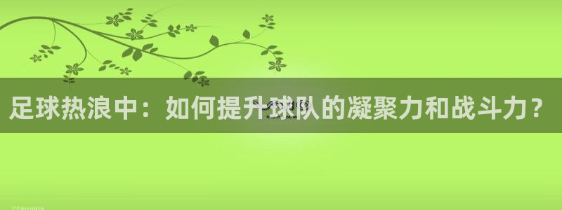  足球热浪中：如何提升球队的凝聚力和战斗力？