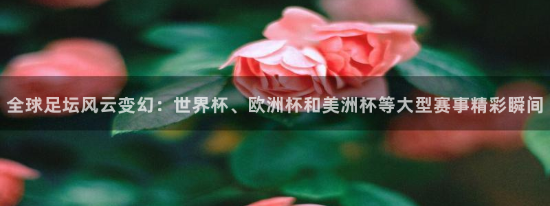  全球足坛风云变幻：世界杯、欧洲杯和美洲杯等大型赛事精彩瞬间