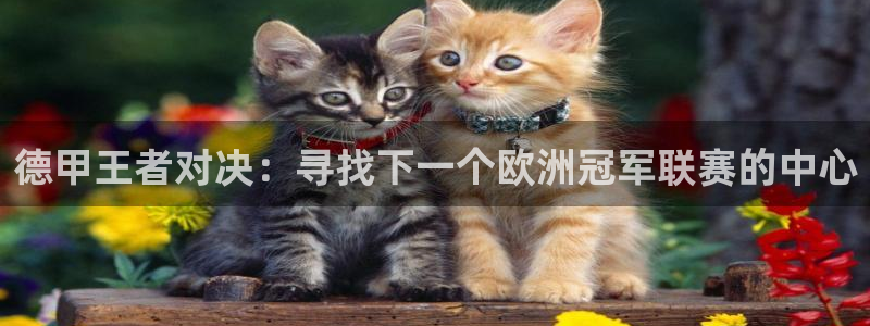  德甲王者对决：寻找下一个欧洲冠军联赛的中心