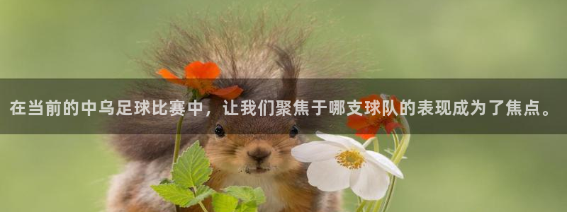  在当前的中乌足球比赛中，让我们聚焦于哪支球队的表现成为了焦点