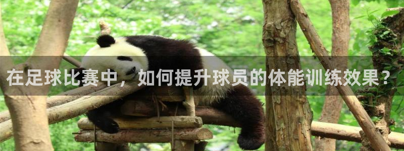 在足球比赛中，如何提升球员的体能训练效果？