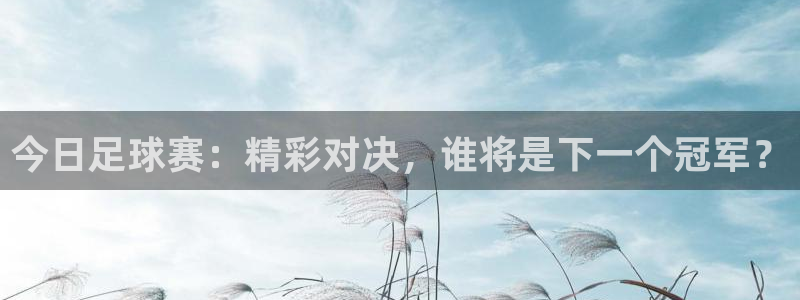今日足球赛：精彩对决，谁将是下一个冠军？