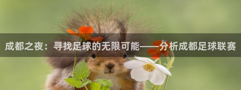 成都之夜：寻找足球的无限可能——分析成都足球联赛