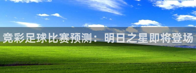  竞彩足球比赛预测：明日之星即将登场