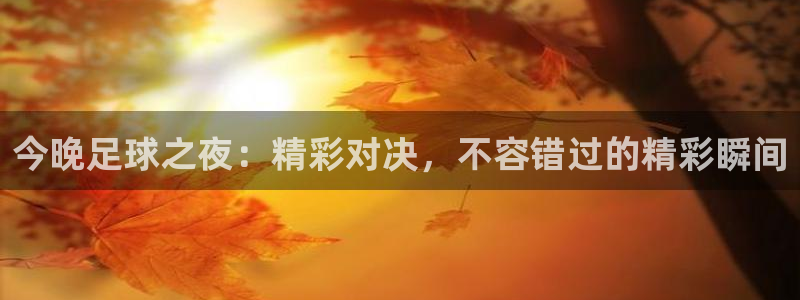 今晚足球之夜：精彩对决，不容错过的精彩瞬间