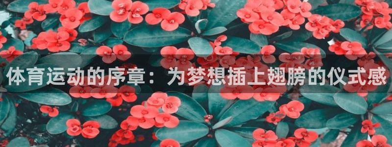 哈哈体育十年