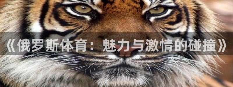 哈哈体育十年