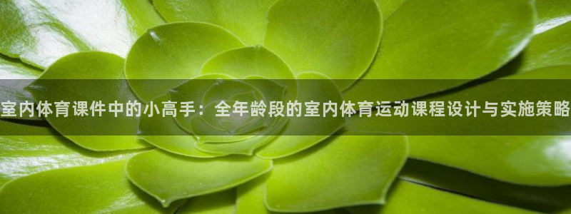哈哈体育