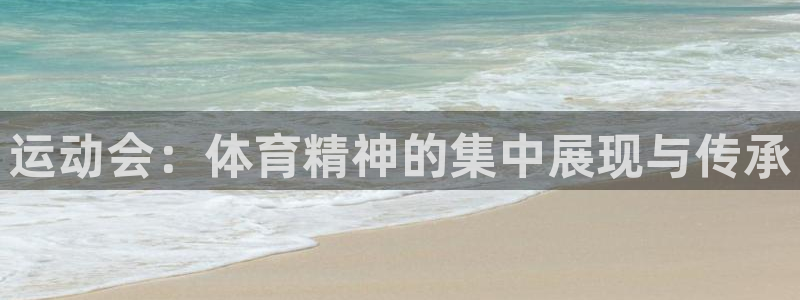 哈哈体育十年