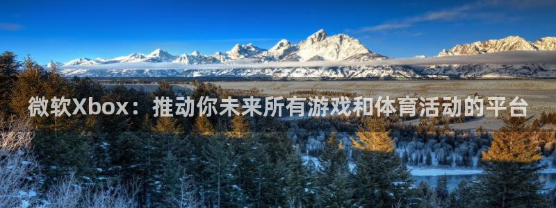 哈哈体育：微软Xbox：推动你未来所有游戏和体育活动的平台