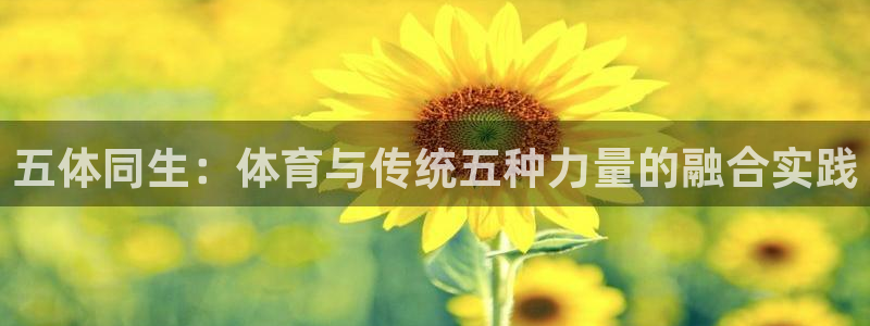 哈哈体育十年：五体同生：体育与传统五种力量的融合实践