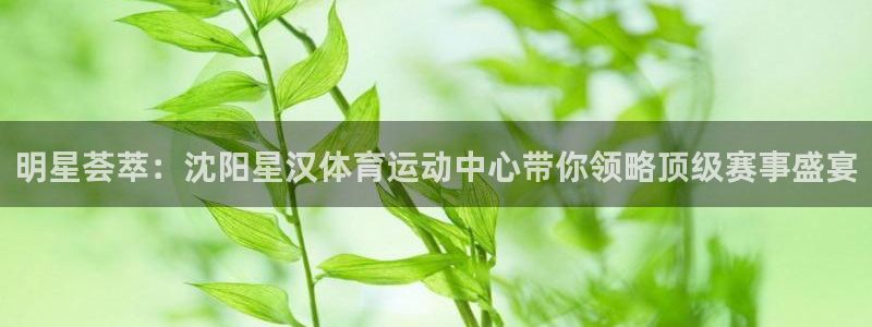 哈哈体育十年：明星荟萃：沈阳星汉体育运动中心带你领略顶级赛事盛宴