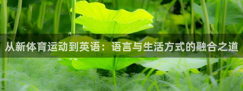 哈哈体育：从新体育运动到英语：语言与生活方式的融合之道