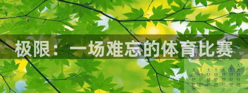 哈哈体育十年：极限：一场难忘的体育比赛