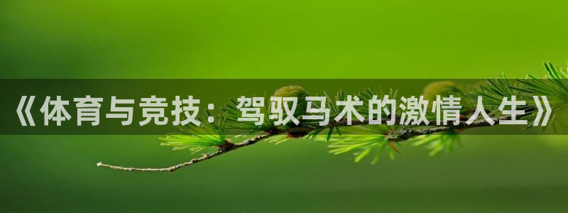 哈哈体育十年：《体育与竞技：驾驭马术的激情人生》