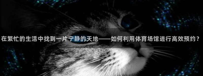 哈哈体育十年：在繁忙的生活中找到一片宁静的天地——如何利用体育场馆进行高效预约？