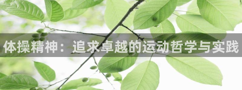 哈哈体育下载：体操精神：追求卓越的运动哲学与实践