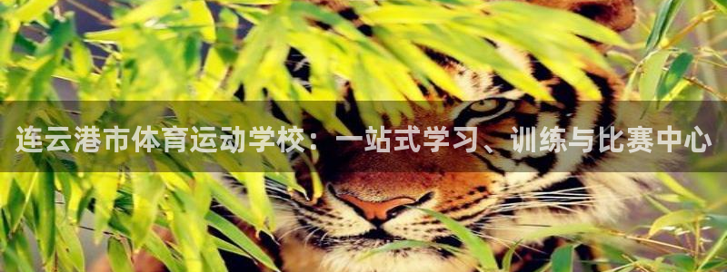 哈哈体育：连云港市体育运动学校：一站式学习、训练与比赛中心