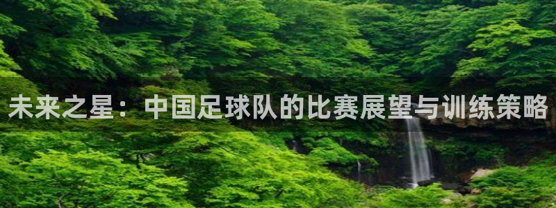 未来之星：中国足球队的比赛展望与训练