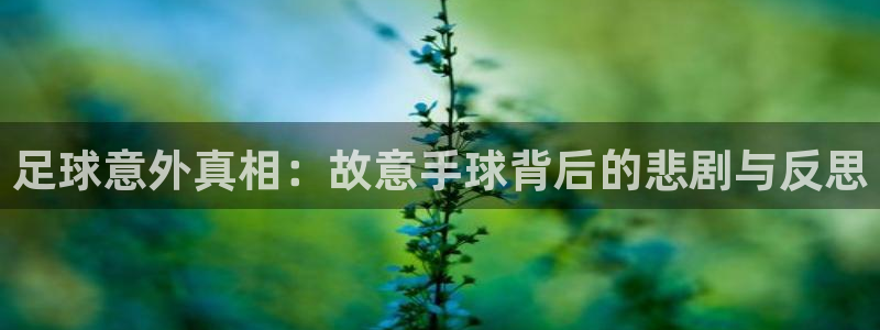 足球意外真相：故意手球背后的悲剧与反