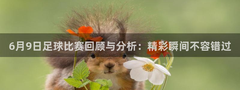 6月9日足球比赛回顾与分析：精彩瞬间