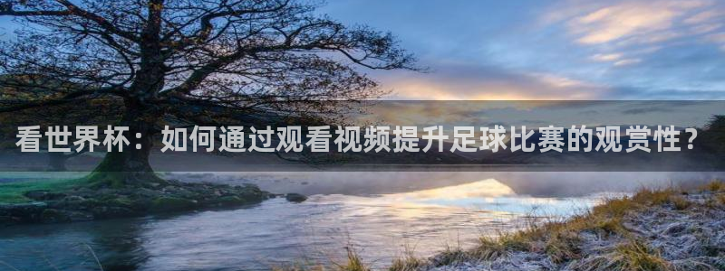 看世界杯：如何通过观看视频提升足球比