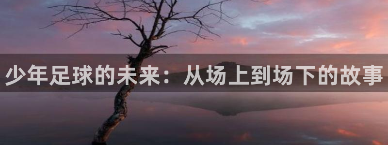 少年足球的未来：从场上到场下的故事