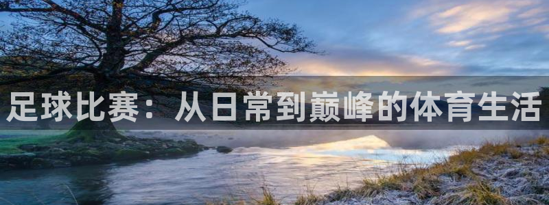 足球比赛：从日常到巅峰的体育生活