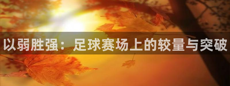 以弱胜强：足球赛场上的较量与突破