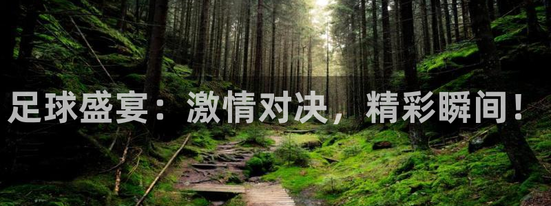 足球盛宴：激情对决，精彩瞬间！