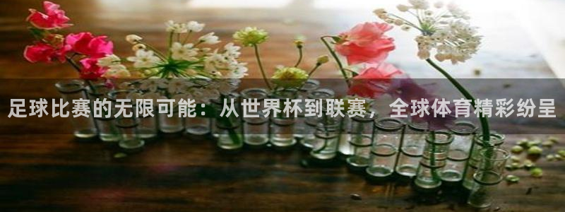 足球比赛的无限可能：从世界杯到联赛，