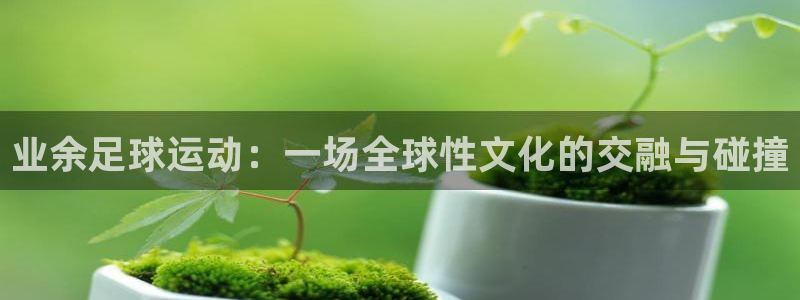 业余足球运动：一场全球性文化的交融与