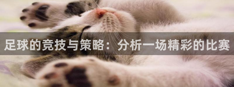 足球的竞技与策略：分析一场精彩的比赛