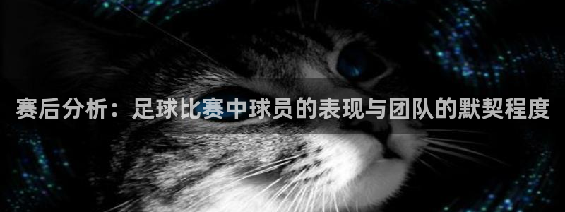 赛后分析：足球比赛中球员的表现与团队