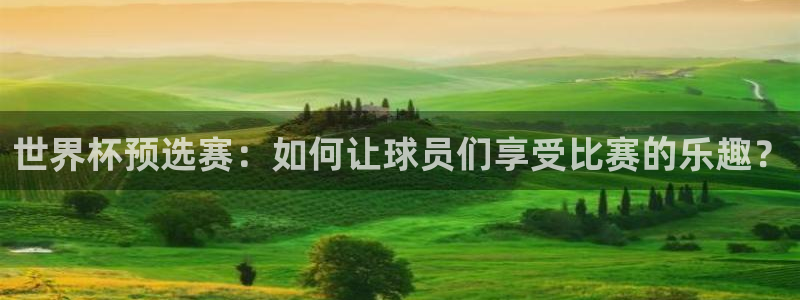 世界杯预选赛：如何让球员们享受比赛的
