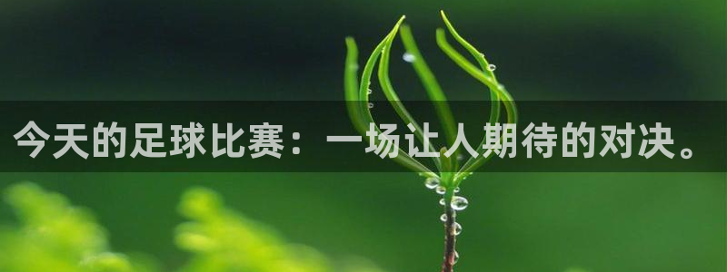 今天的足球比赛：一场让人期待的对决。