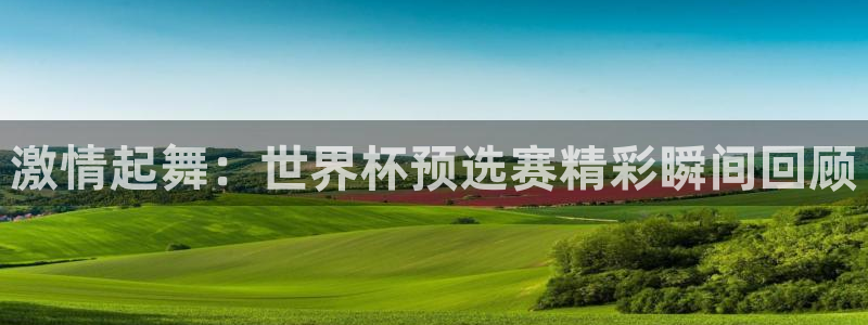 激情起舞：世界杯预选赛精彩瞬间回顾