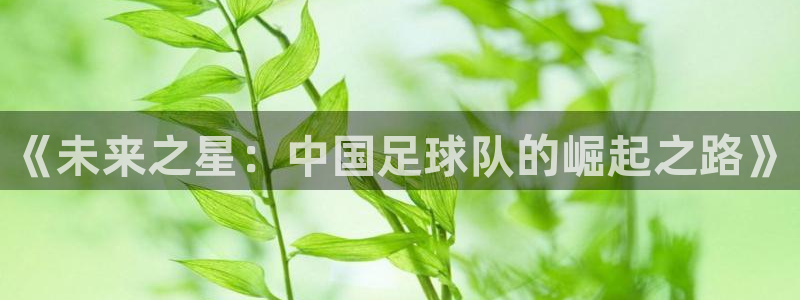《未来之星：中国足球队的崛起之路》