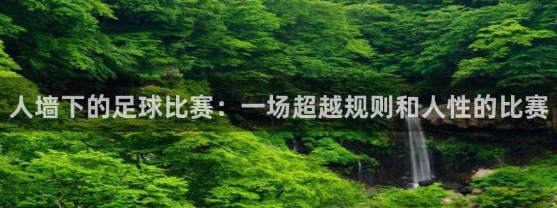 人墙下的足球比赛：一场超越规则和人性的比赛
