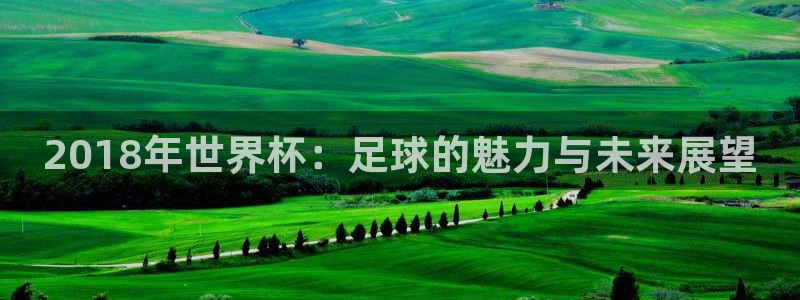 2018年世界杯：足球的魅力与未来展